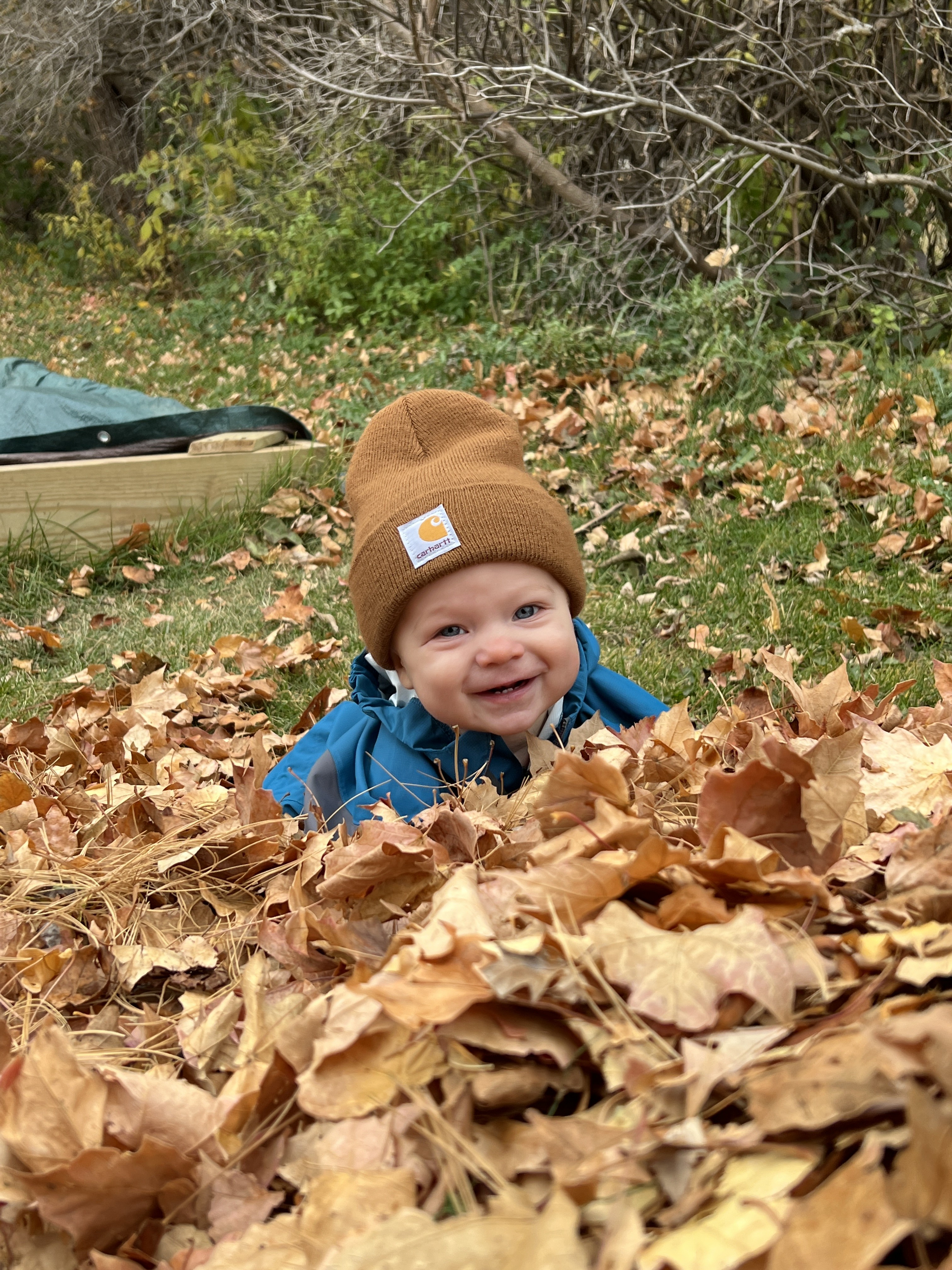 happy baby in a pile of leaves